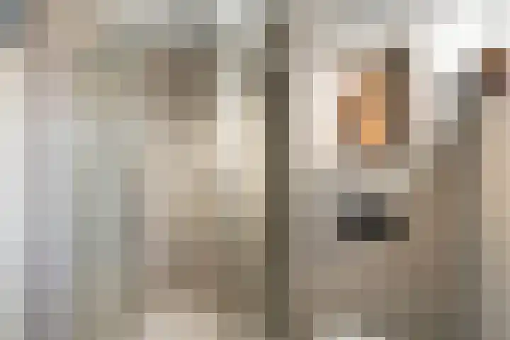 Anzere 9 Capelle aan den IJssel thumbnail 39