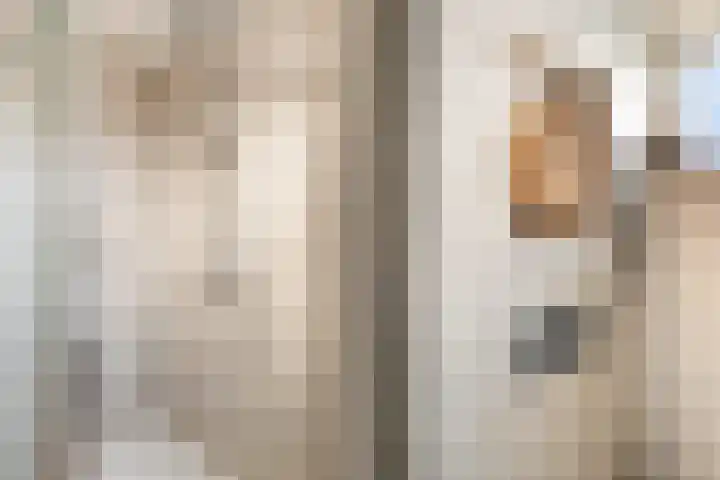 Anzere 9 Capelle aan den IJssel thumbnail 40