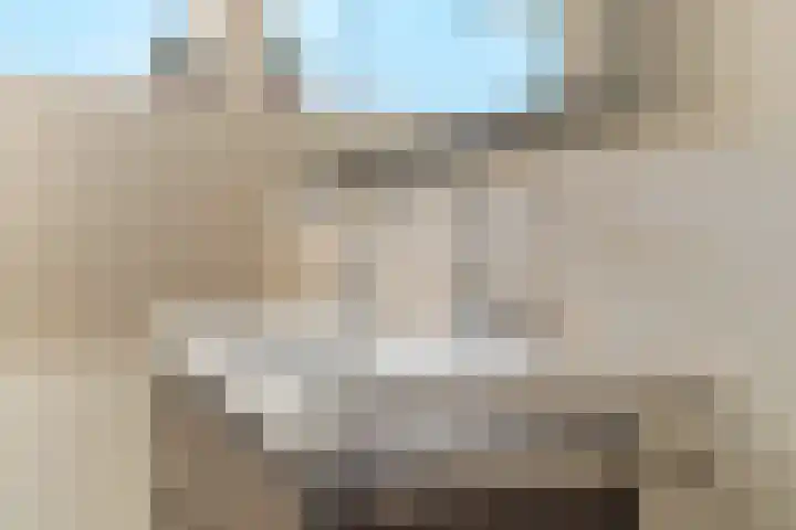 Anzere 9 Capelle aan den IJssel thumbnail 41