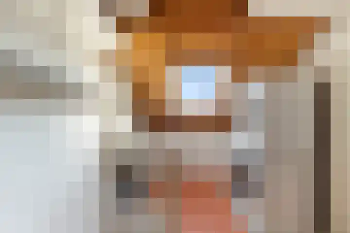 Anzere 9 Capelle aan den IJssel thumbnail 42