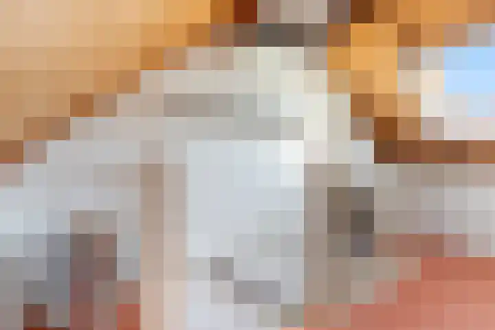 Anzere 9 Capelle aan den IJssel thumbnail 43