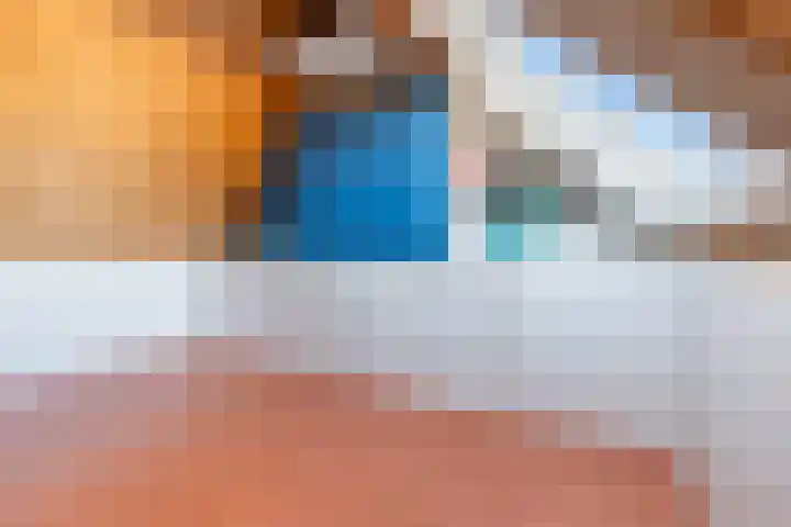 Anzere 9 Capelle aan den IJssel thumbnail 44