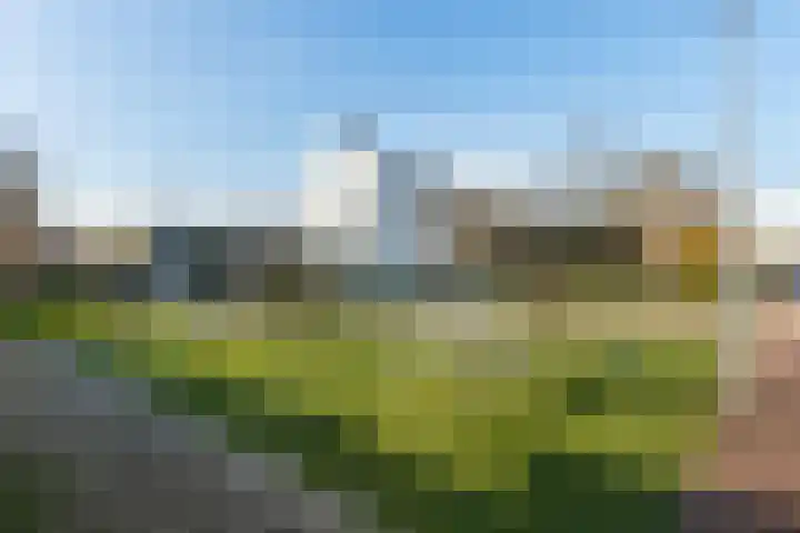 Anzere 9 Capelle aan den IJssel thumbnail 51