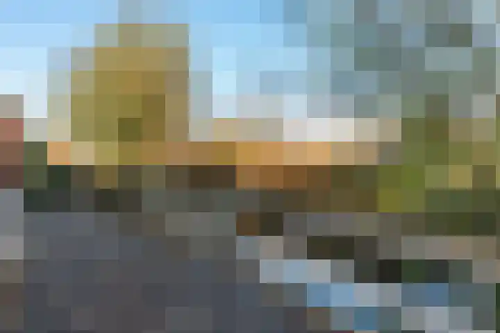 Anzere 9 Capelle aan den IJssel thumbnail 52