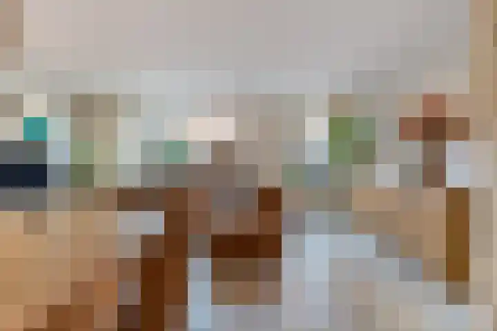 Anzere 9 Capelle aan den IJssel thumbnail 7