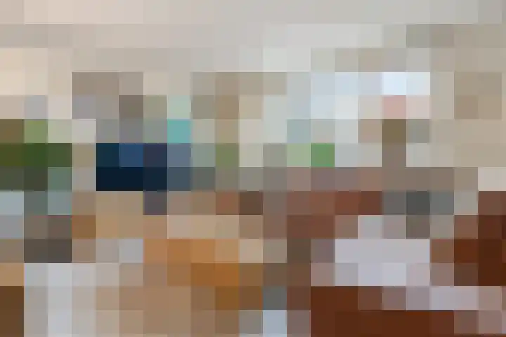 Anzere 9 Capelle aan den IJssel thumbnail 8
