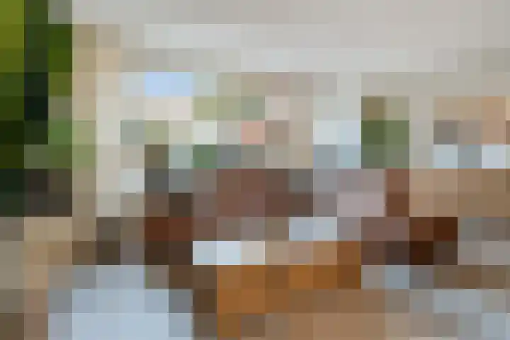 Anzere 9 Capelle aan den IJssel thumbnail 9