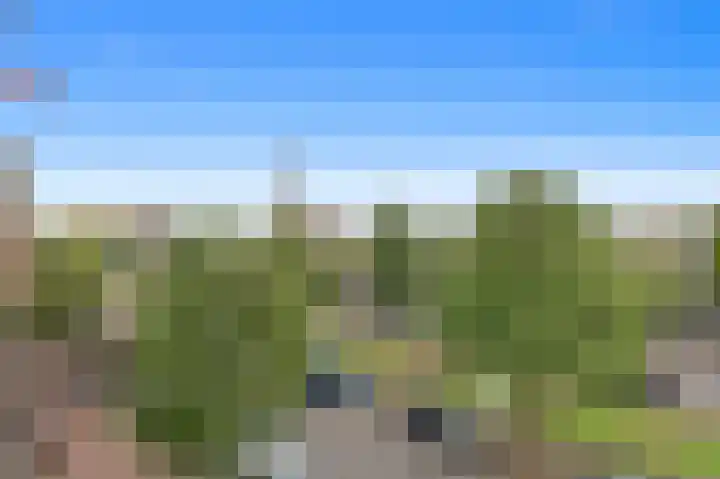 Apeldoornselaan 17 B Den Haag thumbnail 10