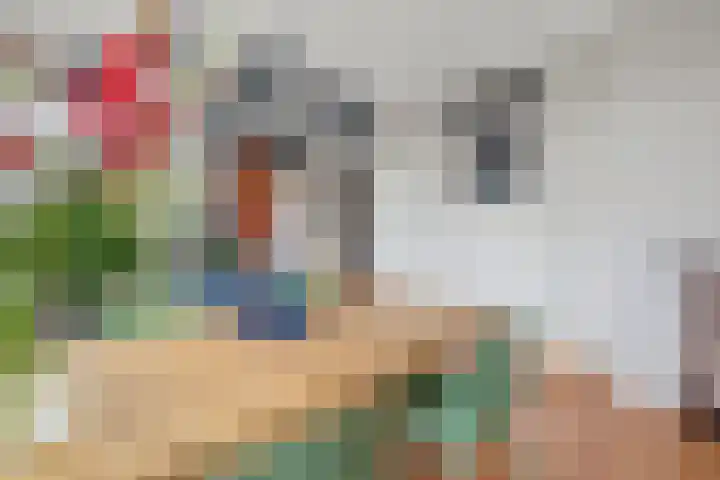 Apeldoornselaan 17 B Den Haag thumbnail 11