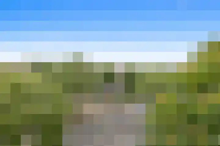 Apeldoornselaan 17 B Den Haag thumbnail 14