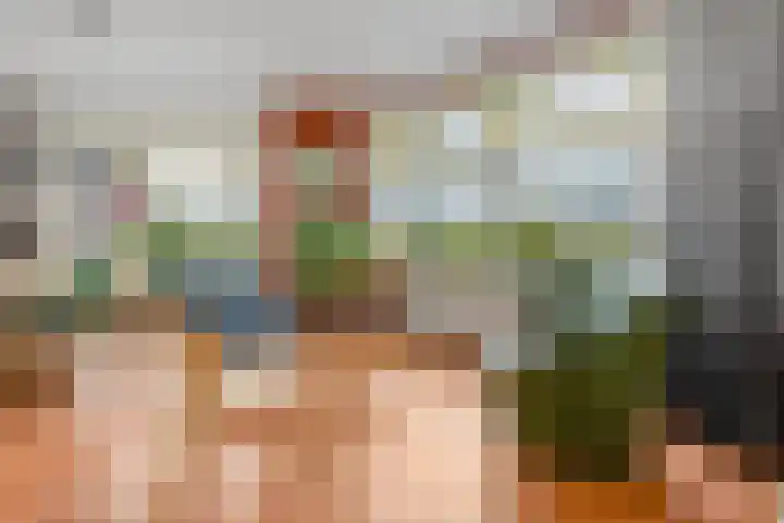 Apeldoornselaan 17 B Den Haag thumbnail 15