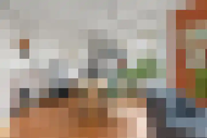 Apeldoornselaan 17 B Den Haag thumbnail 17