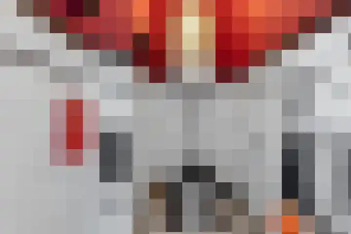 Apeldoornselaan 17 B Den Haag thumbnail 31