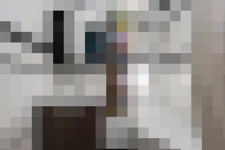 Apeldoornselaan 17 B Den Haag thumbnail 32