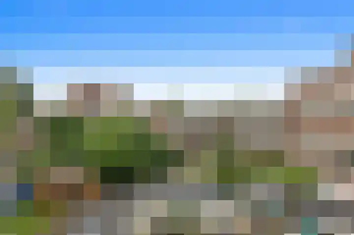 Apeldoornselaan 17 B Den Haag thumbnail 41