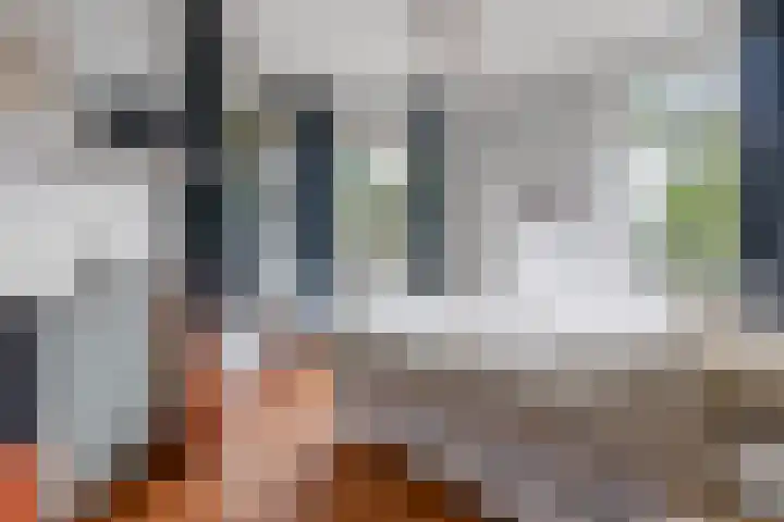 Apeldoornselaan 17 B Den Haag thumbnail 44