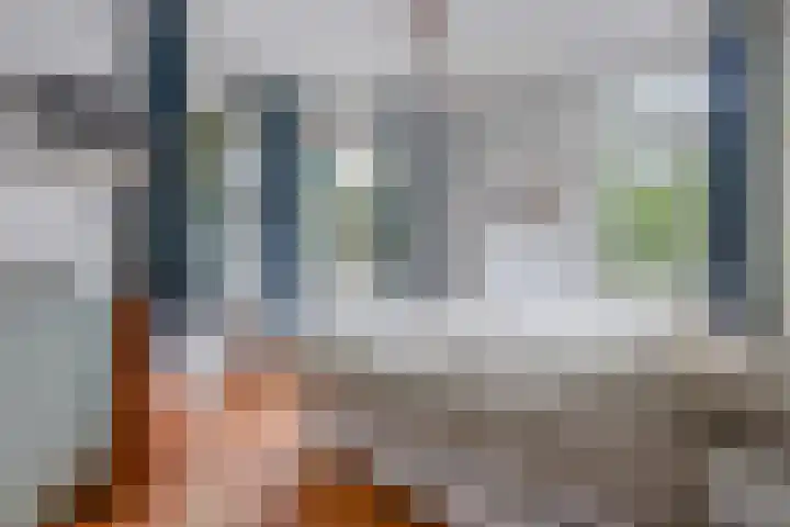 Apeldoornselaan 17 B Den Haag thumbnail 45
