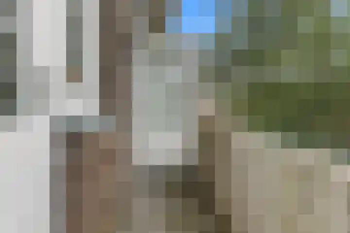 Apeldoornselaan 17 B Den Haag thumbnail 47