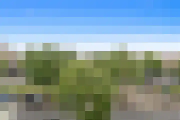 Apeldoornselaan 17 B Den Haag thumbnail 8