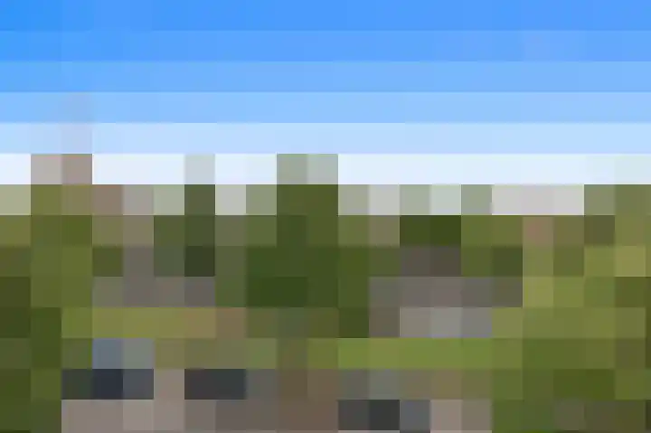Apeldoornselaan 17 B Den Haag thumbnail 9