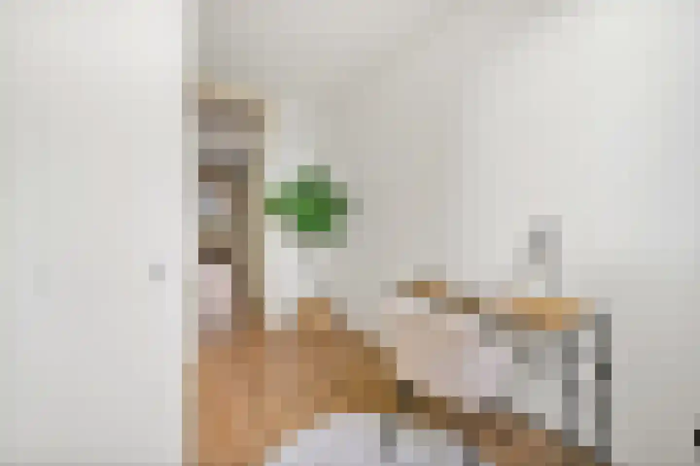 Apeldoornselaan 252 Den Haag thumbnail 17