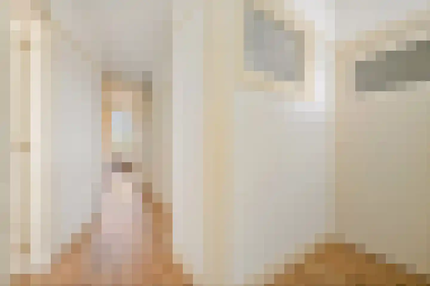 Apeldoornselaan 252 Den Haag thumbnail 19