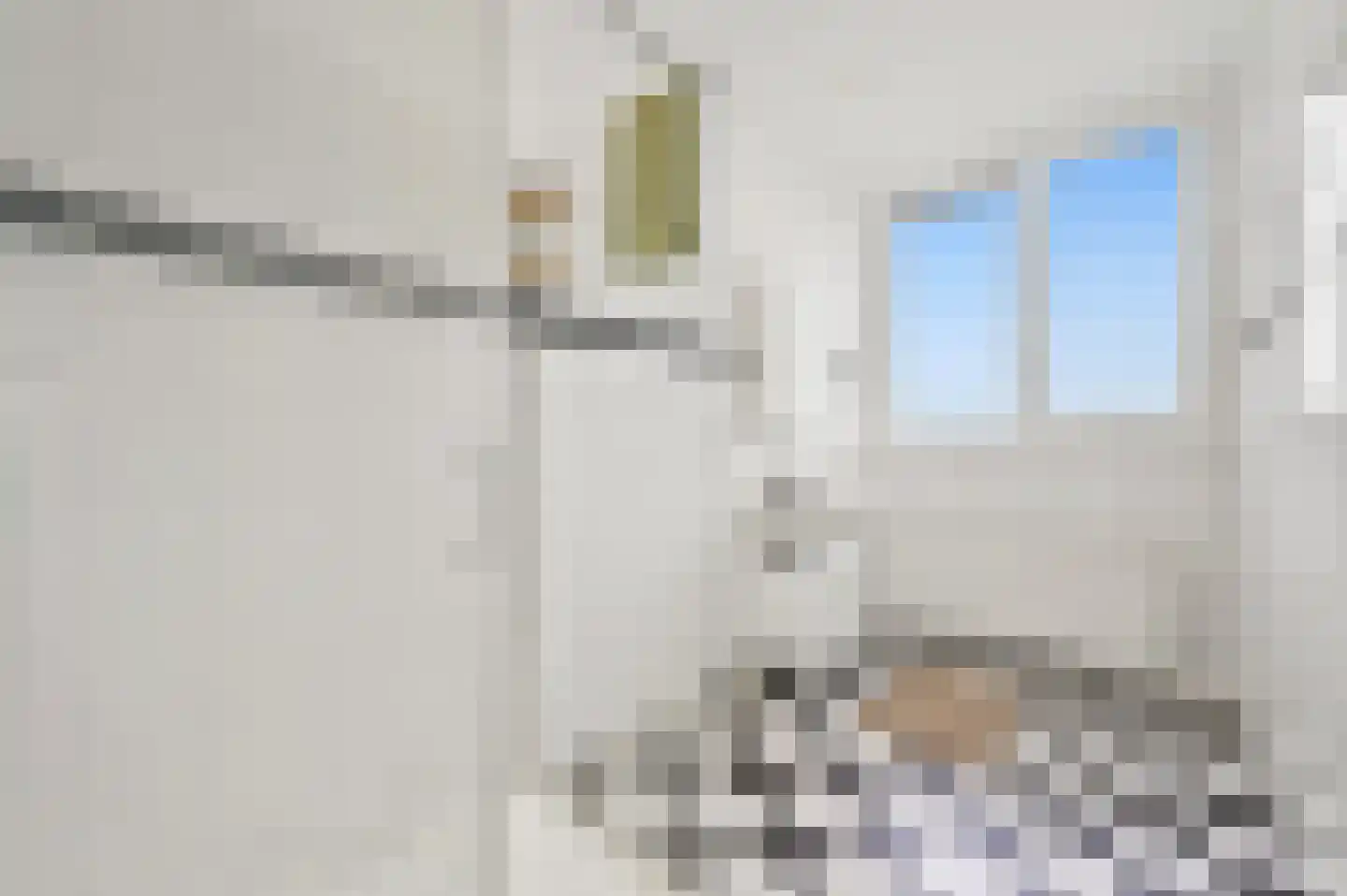 Apeldoornselaan 252 Den Haag thumbnail 20