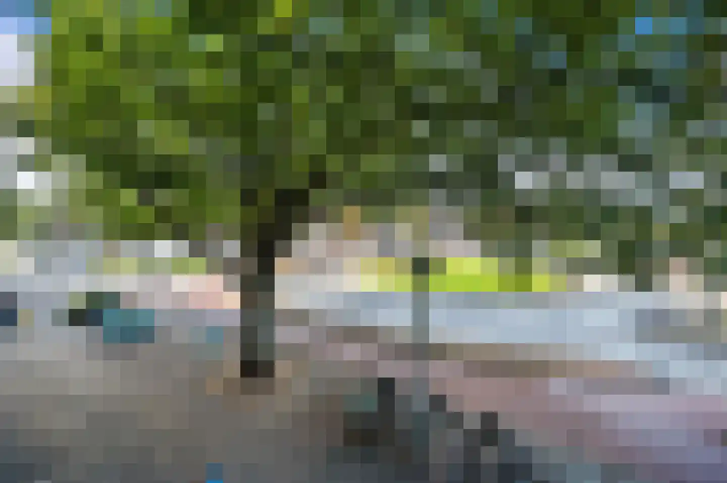 Apeldoornselaan 252 Den Haag thumbnail 24