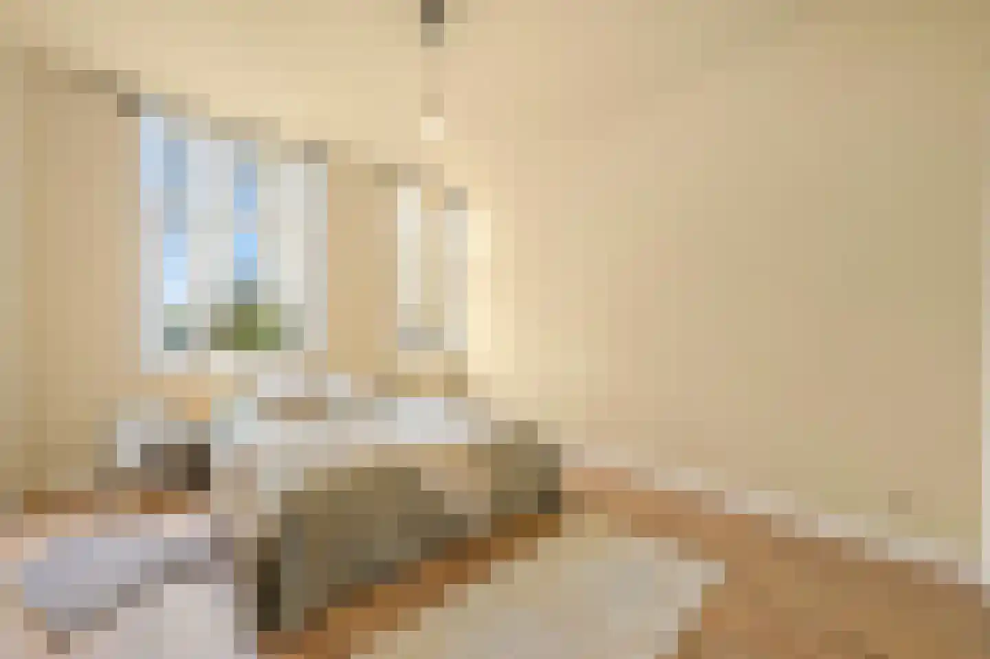 Apeldoornselaan 252 Den Haag thumbnail 4