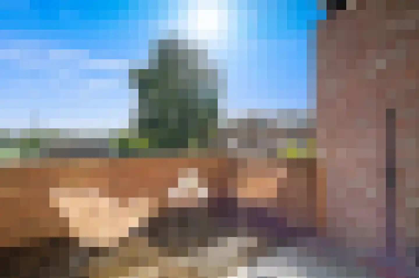 Apeldoornselaan 252 Den Haag thumbnail 5