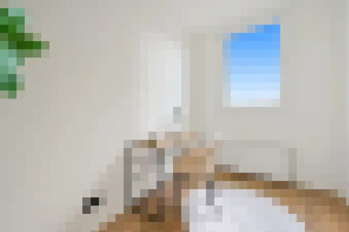 Apeldoornselaan 252 Den Haag thumbnail 7
