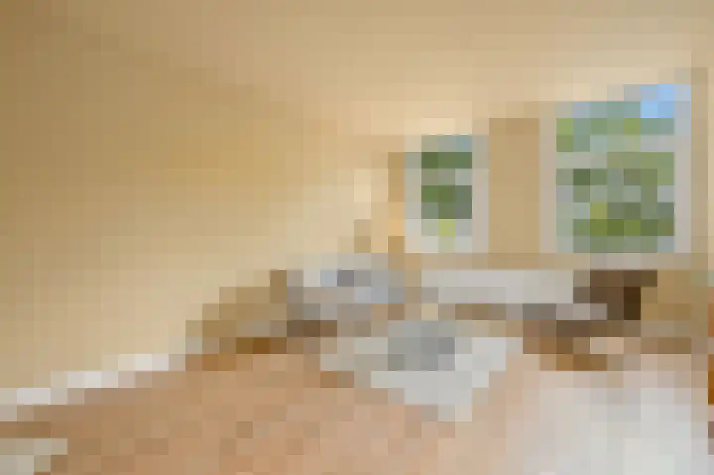 Apeldoornselaan 252 Den Haag thumbnail 9