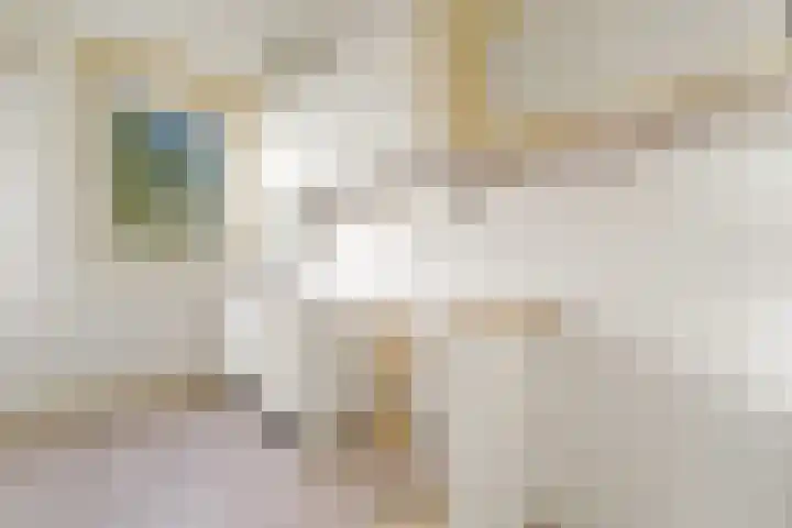 Apeldoornselaan 258 Den Haag thumbnail 12