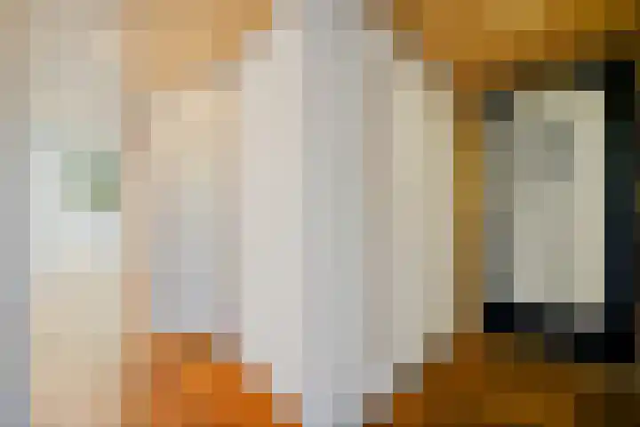 Apeldoornselaan 258 Den Haag thumbnail 17