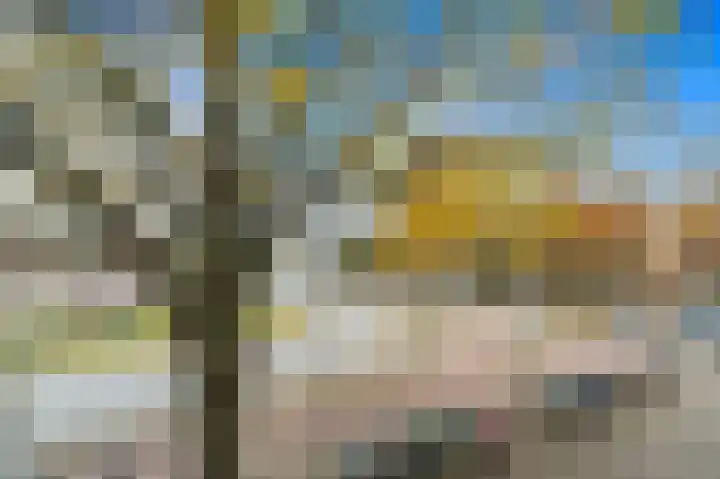 Apeldoornselaan 258 Den Haag thumbnail 24
