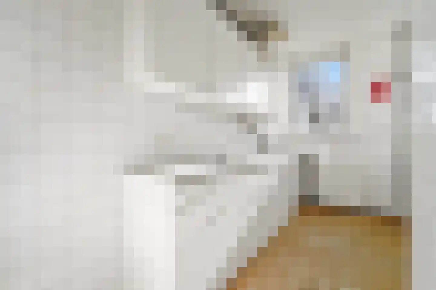 Apeldoornselaan 262 Den Haag thumbnail 10