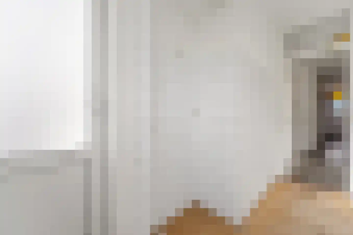 Apeldoornselaan 262 Den Haag thumbnail 11