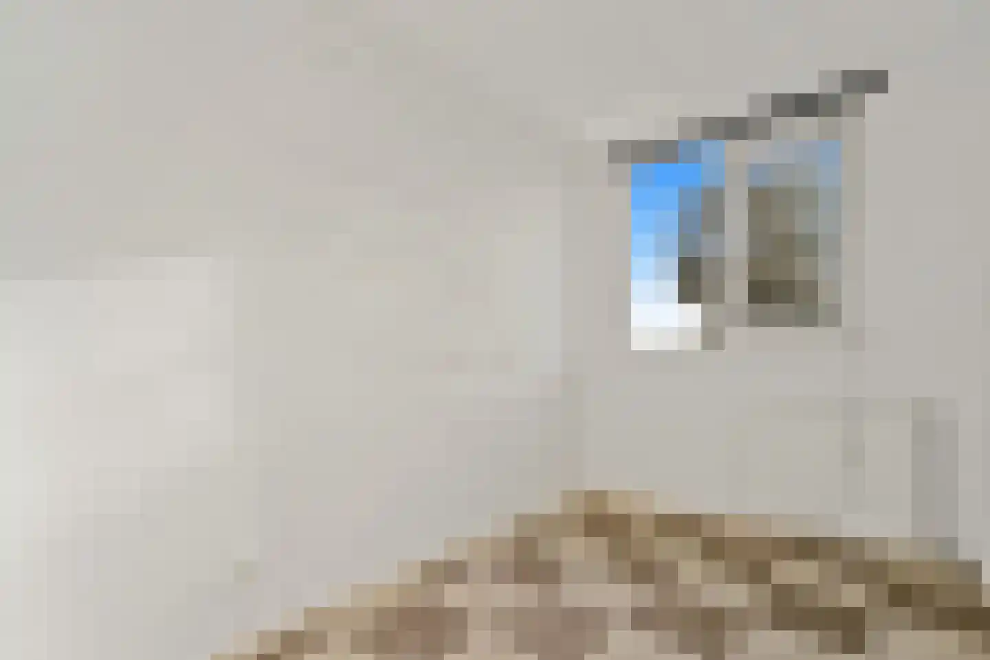 Apeldoornselaan 262 Den Haag thumbnail 17