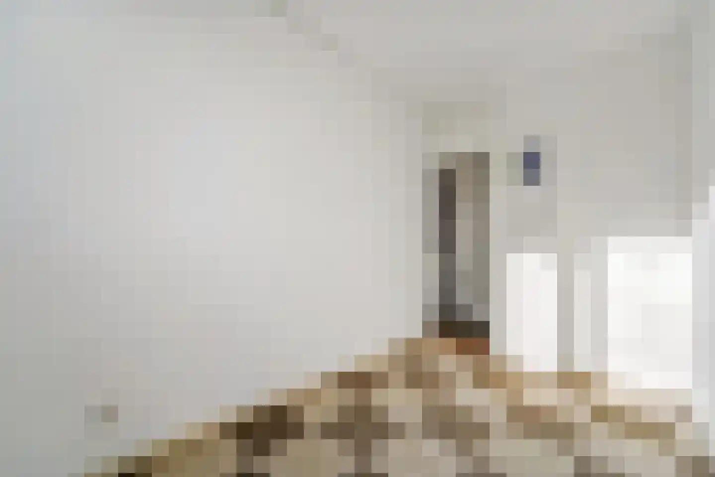 Apeldoornselaan 262 Den Haag thumbnail 18