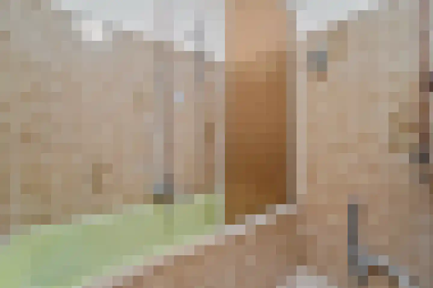 Apeldoornselaan 262 Den Haag thumbnail 21
