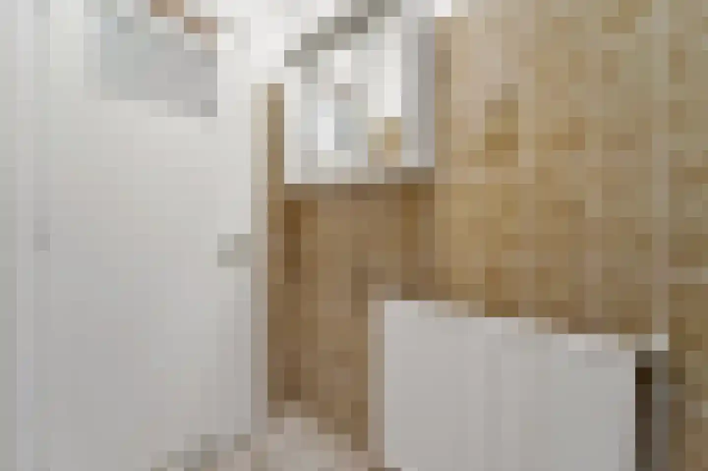 Apeldoornselaan 262 Den Haag thumbnail 22