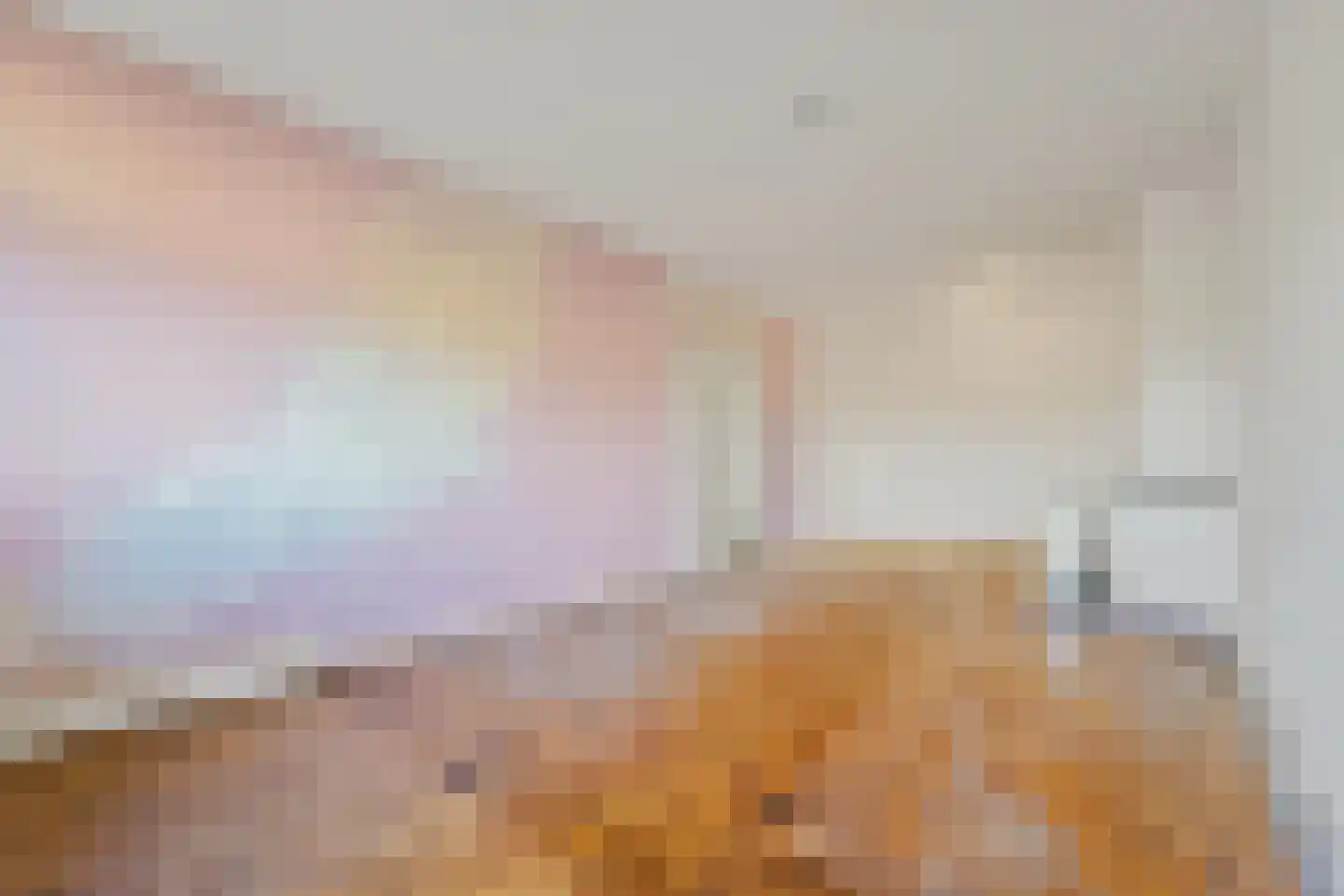 Apeldoornselaan 262 Den Haag thumbnail 4