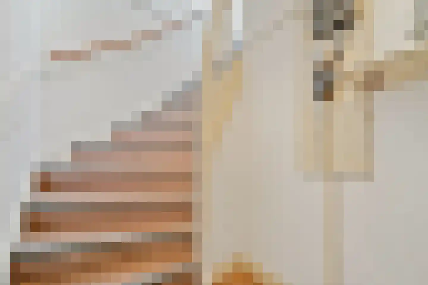 Apeldoornselaan 262 Den Haag thumbnail 7