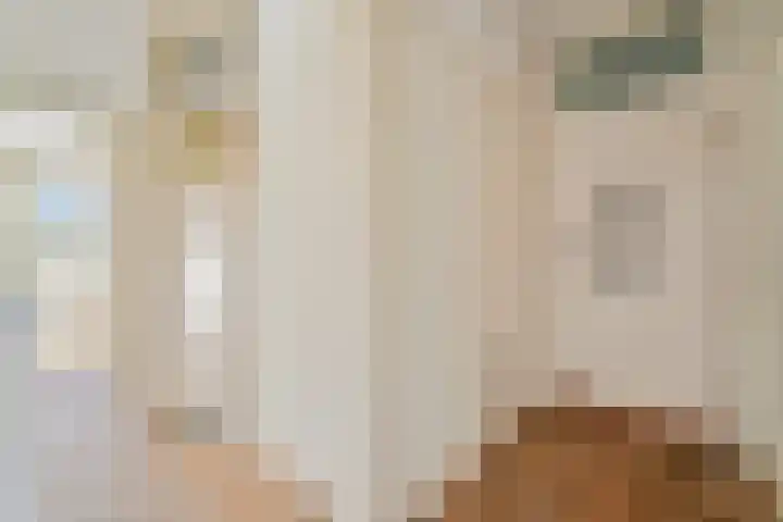 Apeldoornselaan 270 Den Haag thumbnail 20