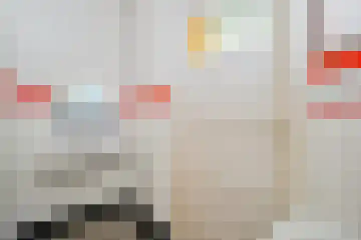 Apeldoornselaan 270 Den Haag thumbnail 22