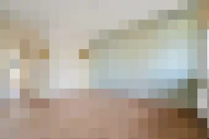 Apeldoornselaan 270 Den Haag thumbnail 5