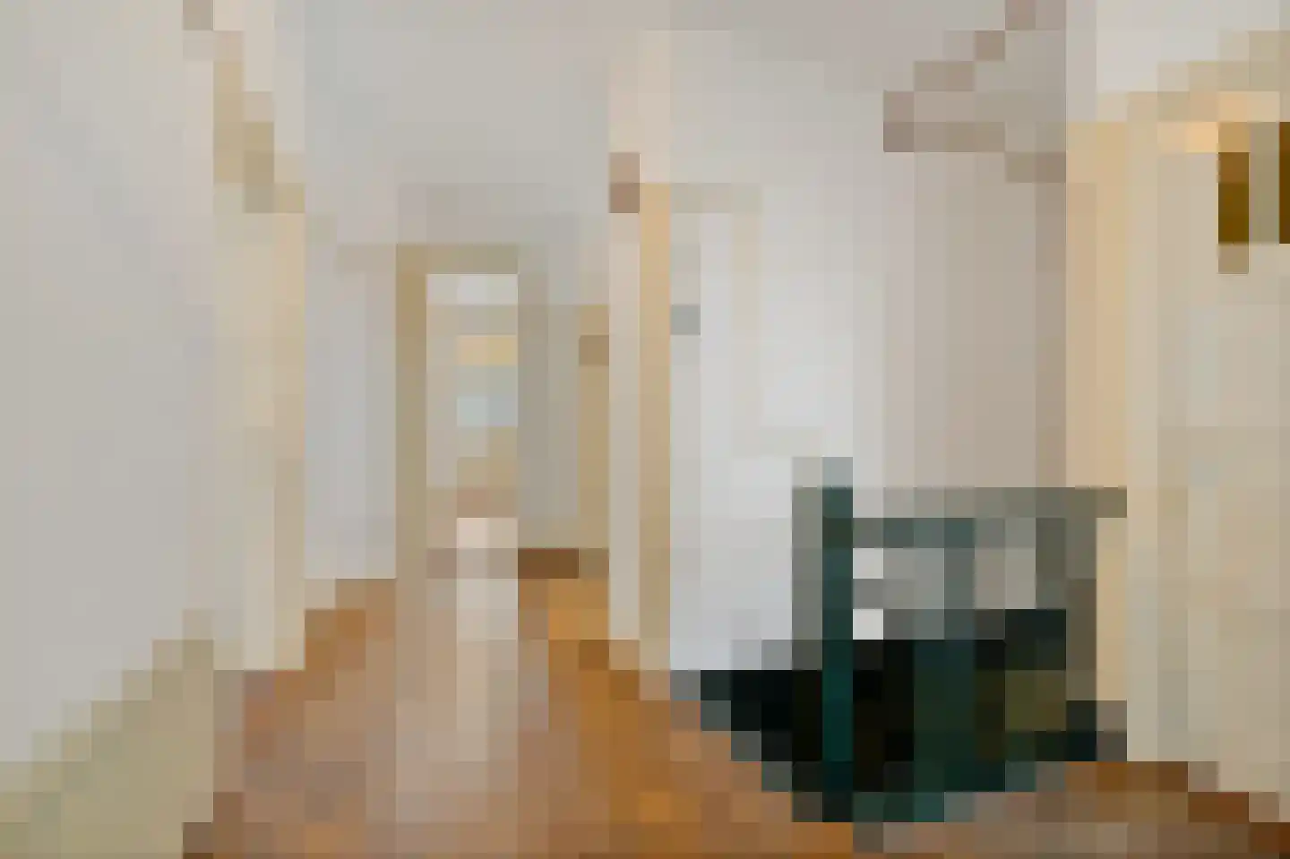 Apeldoornselaan 274 Den Haag thumbnail 15
