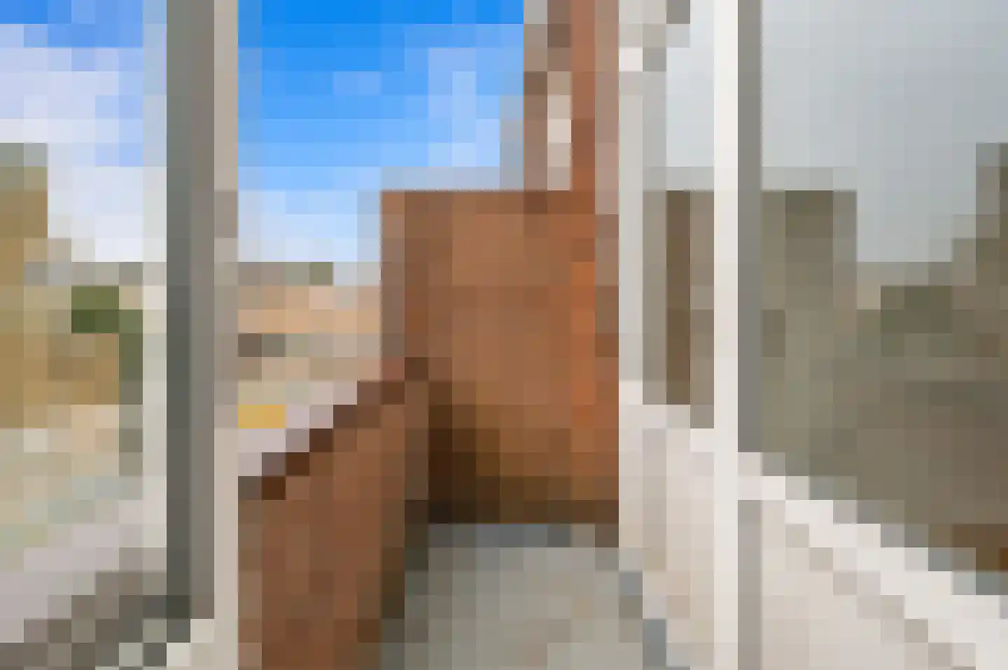 Apeldoornselaan 274 Den Haag thumbnail 9