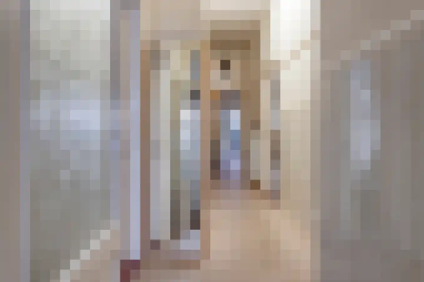 Apeldoornselaan 55 Den Haag thumbnail 10