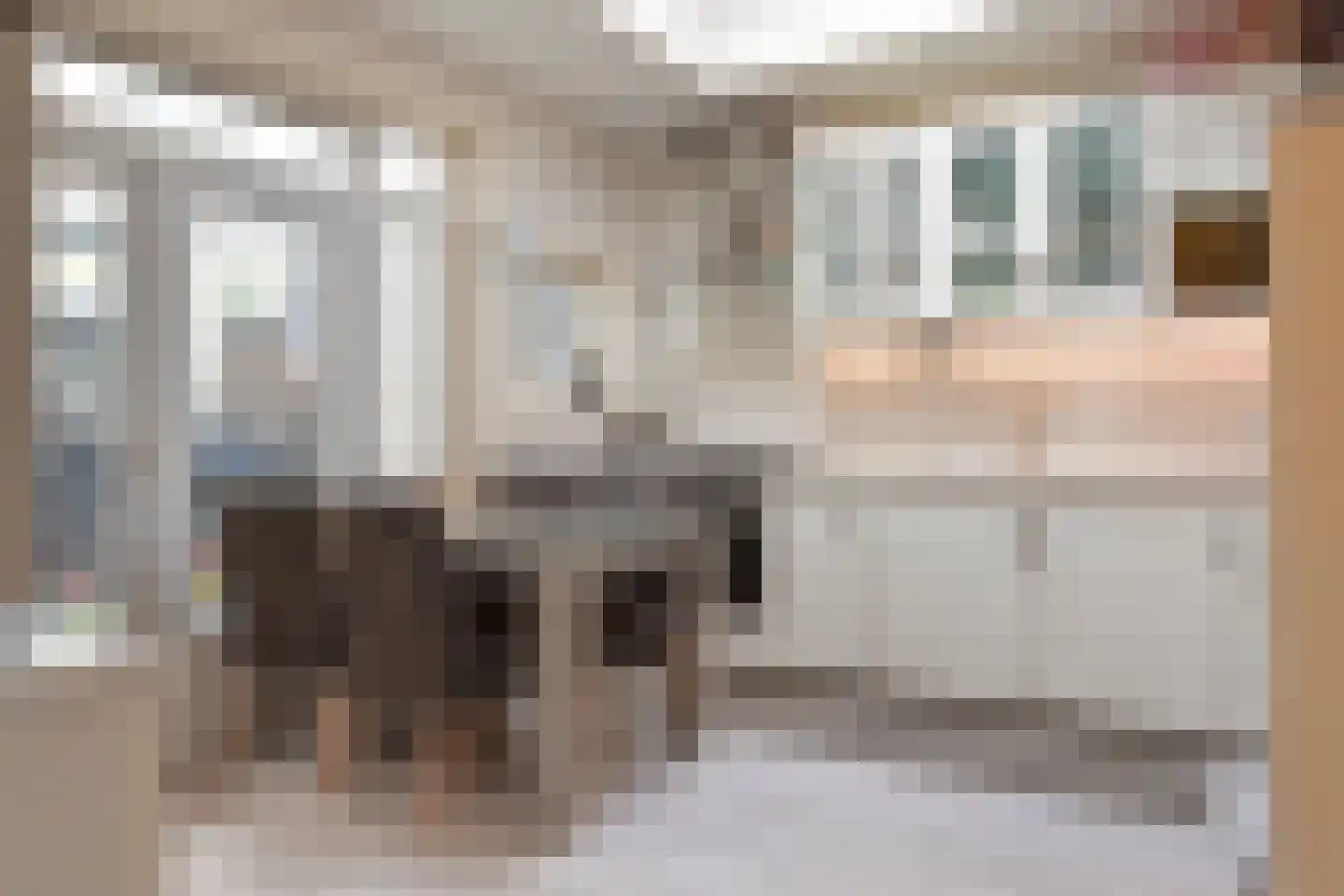 Apeldoornselaan 55 Den Haag thumbnail 18